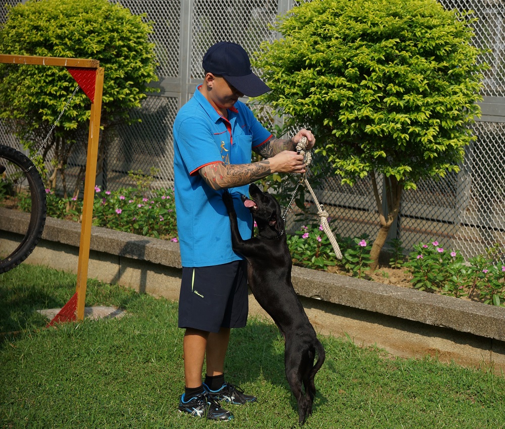 監獄犬訓練-LuLu準備開始訓練