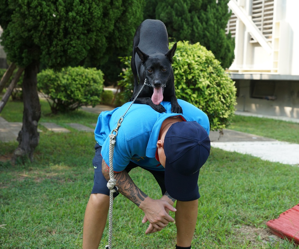 監獄犬訓練-LuLu趴在訓練員的背上