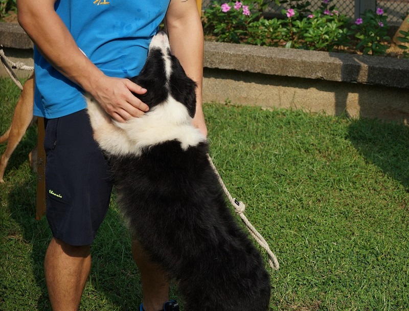 監獄犬訓練-邊邊跟訓練師抱在一起
